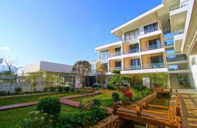 证监会发布五大调整，资本市场迎变革