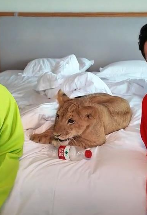 uploads/1111/1762848967155622888.png image.png