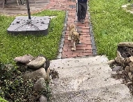 uploads/1111/176284898320544423.png image.png