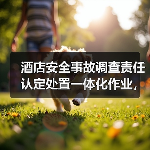 酒店安全事故调查责任认定处置一体化作业,为何是2026年酒店安全的破局关键?(图3) 酒店安全事故调查责任认定处置一体化作业,为何是2026年酒店安全的破局关键?(图3)