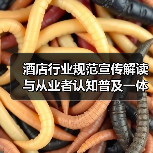 酒店行业规范宣传解读与从业者认知普及一体化作业：2026年酒店人必须掌握的降本增效新姿势（图2）
