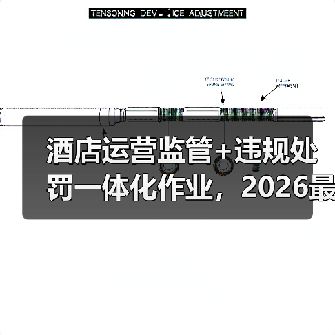 酒店运营监管+违规处罚一体化作业，2026最全落地指南（图1）