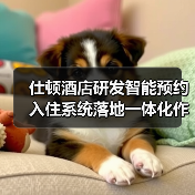 仕顿酒店研发智能预约入住系统落地一体化作业：一场效率革命（图2）