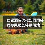仕顿酒店优化如何用会员专属服务体系落地一体化作业，实现顺畅完成？（图4）
