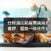 仕顿酒店拓展高端商务客群：服务一体化作业如何“有序”破局？（图2）