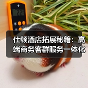 仕顿酒店拓展秘籍：高端商务客群服务一体化如何“破圈”？（图3）