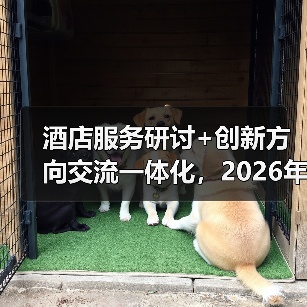 酒店服务研讨+创新方向交流一体化，2026年这样做就对了（图3）