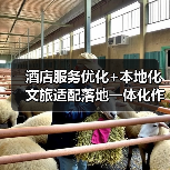 酒店服务优化+本地化文旅适配落地一体化作业,圆满完成!87天我们如何做到的?(图4) 酒店服务优化+本地化文旅适配落地一体化作业,圆满完成!87天我们如何做到的?(图4)