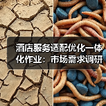 酒店服务适配优化一体化作业：市场需求调研如何扎实实施？（图1）