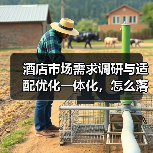 酒店市场需求调研与适配优化一体化，怎么落地才不白干？（图1）