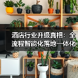 酒店行业升级真相：全流程智能化落地一体化作业，同步开展才叫真智能（图3）