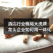 酒店行业格局大洗牌:龙头企业如何用一体化作业打赢突围战?(图2) 酒店行业格局大洗牌:龙头企业如何用一体化作业打赢突围战?(图2)