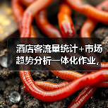 酒店客流量统计+市场趋势分析一体化作业,为什么2026年必须搞?(图3) 酒店客流量统计+市场趋势分析一体化作业,为什么2026年必须搞?(图3)