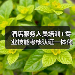 酒店服务人员培训+专业技能考核认证一体化作业,高效办结,真的能拯救你的酒店吗?(图1) 酒店服务人员培训+专业技能考核认证一体化作业,高效办结,真的能拯救你的酒店吗?(图1)