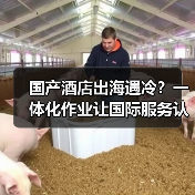 国产酒店出海遇冷?一体化作业让国际服务认证落地不再是空话(图1) 国产酒店出海遇冷?一体化作业让国际服务认证落地不再是空话(图1)