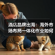 酒店品牌出海:海外市场布局一体化作业如何做到拓展有序?(图3) 酒店品牌出海:海外市场布局一体化作业如何做到拓展有序?(图3)