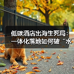 低碳酒店出海生死局:一体化落地如何破“水土不服”(图1) 低碳酒店出海生死局:一体化落地如何破“水土不服”(图1)