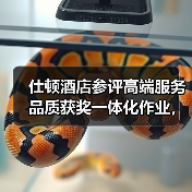 仕顿酒店参评高端服务品质获奖一体化作业，我们这样拿下（图4）