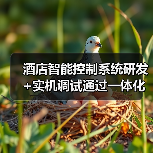 酒店智能控制系统研发+实机调试通过一体化作业，凭什么能省下3个月工期？（图1）