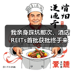 我亲身踩坑那次,酒店REITs首批获批终于来了(图1) 我亲身踩坑那次,酒店REITs首批获批终于来了(图1)