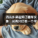 酒店多渠道预订翻车实录:别再只盯着一个平台了(图2) 酒店多渠道预订翻车实录:别再只盯着一个平台了(图2)