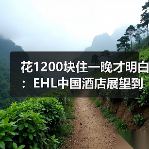 花1200块住一晚才明白:EHL中国酒店展望到底在说什么(图4) 花1200块住一晚才明白:EHL中国酒店展望到底在说什么(图4)