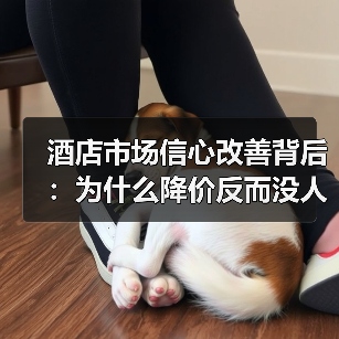 酒店市场信心改善背后:为什么降价反而没人住?(图2) 酒店市场信心改善背后:为什么降价反而没人住?(图2)