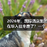 2026年,国际酒店集团在华入住率崩了?一个前业主的血泪观察(图1) 2026年,国际酒店集团在华入住率崩了?一个前业主的血泪观察(图1)