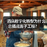 酒店数字化转型为什么总搞成面子工程?(图3) 酒店数字化转型为什么总搞成面子工程?(图3)