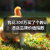 我花300万买了个教训：酒店品牌价值指数（图1）
