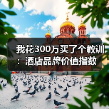 我花300万买了个教训：酒店品牌价值指数（图3）