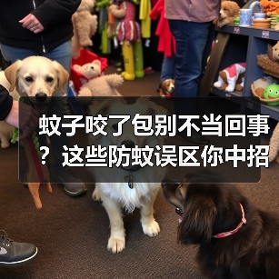 蚊子咬了包别不当回事?这些防蚊误区你中招了吗?(图2) 蚊子咬了包别不当回事?这些防蚊误区你中招了吗?(图2)