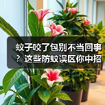 蚊子咬了包别不当回事?这些防蚊误区你中招了吗?(图3) 蚊子咬了包别不当回事?这些防蚊误区你中招了吗?(图3)