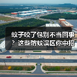 蚊子咬了包别不当回事?这些防蚊误区你中招了吗?(图4) 蚊子咬了包别不当回事?这些防蚊误区你中招了吗?(图4)