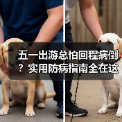 五一出游总怕回程病倒？实用防病指南全在这儿（图2）