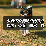 虫媒传染病防控的致命误区:蚊香、积水,你中招了吗?(图3) 虫媒传染病防控的致命误区:蚊香、积水,你中招了吗?(图3)