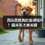 酒店品牌真的靠砸钱吗?搞关系才是关键(图1) 酒店品牌真的靠砸钱吗?搞关系才是关键(图1)