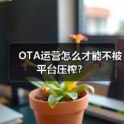 OTA运营怎么才能不被平台压榨?(图2) OTA运营怎么才能不被平台压榨?(图2)