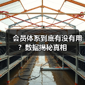 会员体系到底有没有用？数据揭秘真相（图1）