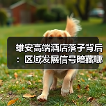 雄安高端酒店落子背后：区域发展信号暗藏哪些商机？（图2）