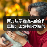 两万块学费换来的合作真相：上饶共识到底怎么用？（图4）
