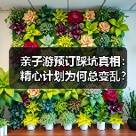 亲子游预订踩坑真相：精心计划为何总变乱？（图1）