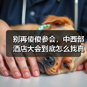 别再傻傻参会，中西部酒店大会到底怎么找真机会？（图2）