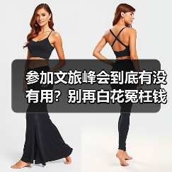 参加文旅峰会到底有没有用？别再白花冤枉钱（图1）
