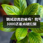 跳城游真的省吗？我亏3000还差点被拉黑（图2）