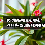 扔掉的票根真能赚钱？2000块教训揭开票根经济真相（图2）