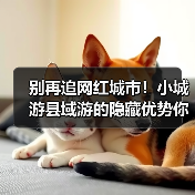 别再追网红城市！小城游县域游的隐藏优势你发现了吗？（图4）