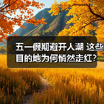 五一假期避开人潮 这些目的地为何悄然走红？（图3）
