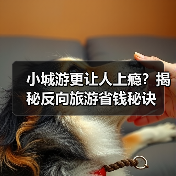 小城游更让人上瘾？揭秘反向旅游省钱秘诀（图4）