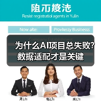为什么AI项目总失败？数据适配才是关键（图1）